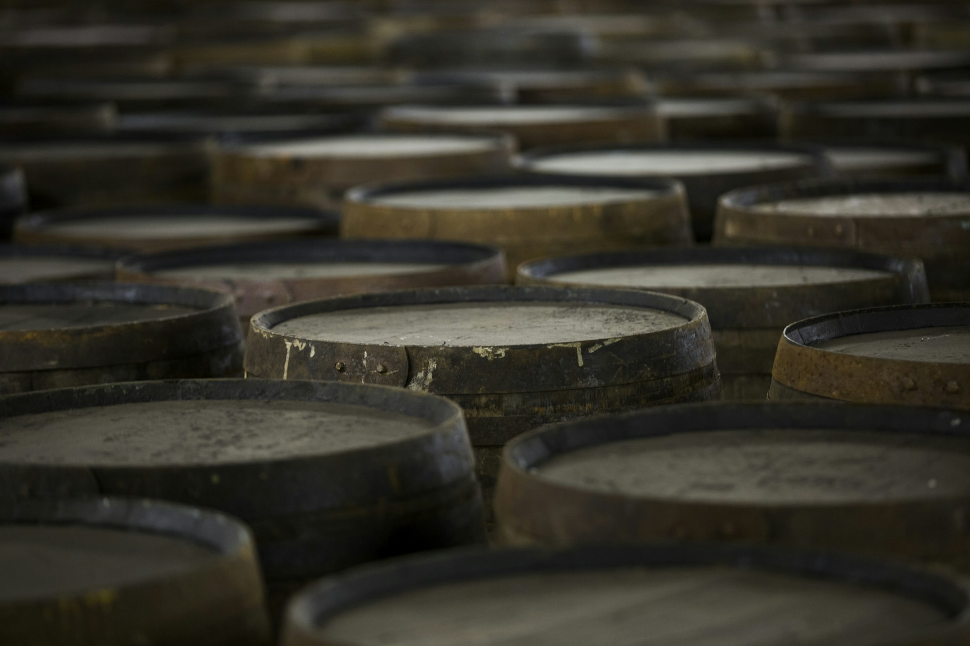 The MAcallan Rows of wooden whisky casks in whisky distillery